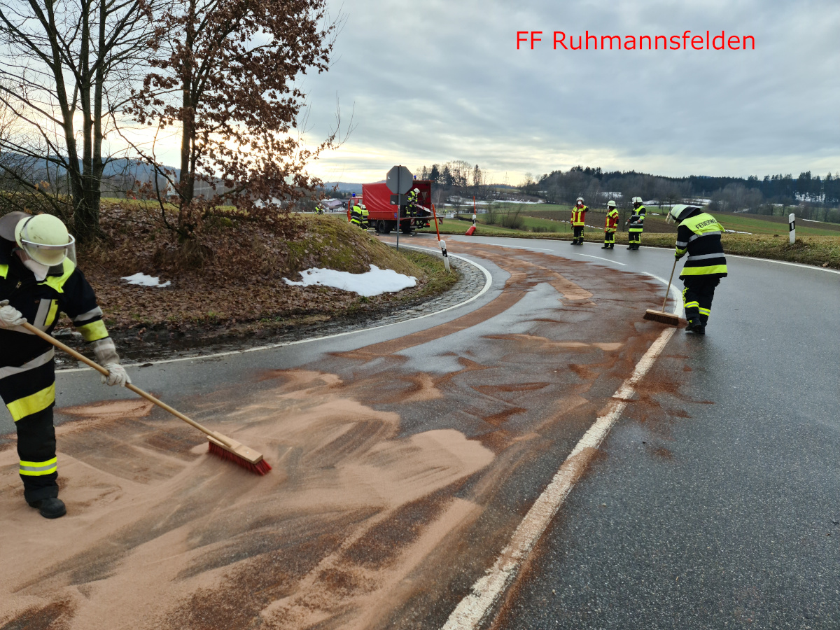 05.02.2021 15:10 Uhr THL 1
